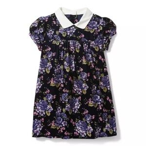 NWT Janie and Jack Floral Velvet Collared Dress 2T